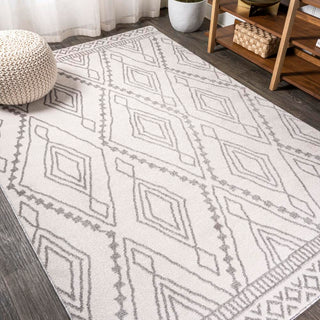 Palmerston Rih Moroccan Style Diamond Area Rug