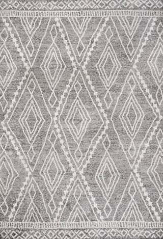 Palmerston Rih Moroccan Style Diamond Area Rug