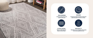 Palmerston Rih Moroccan Style Diamond Area Rug