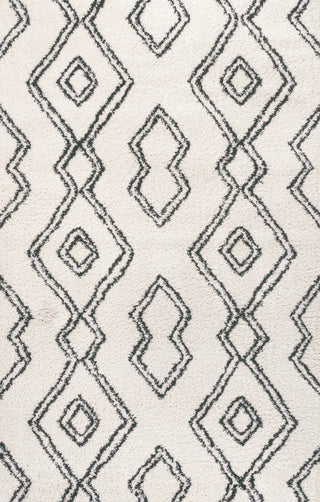 Porirua Deia Moroccan Style Diamond Area Rug