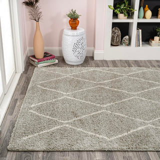 Hibiscus Catala Moroccan Diamond Shag Area Rug