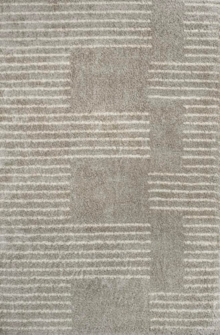 Invercargill Petra Abstract Stripe Geometric Area Rug