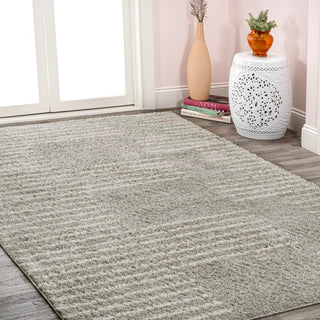 Invercargill Petra Abstract Stripe Geometric Area Rug