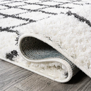 Upper Arenal Geometric Grid Shag Area Rug