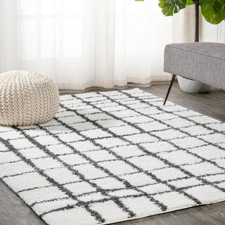 Upper Arenal Geometric Grid Shag Area Rug