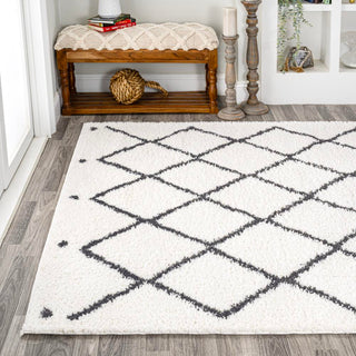 Whanganui Cami Moroccan Style Diamond Area Rug