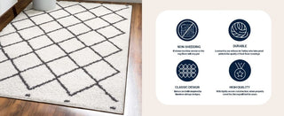 Whanganui Cami Moroccan Style Diamond Area Rug