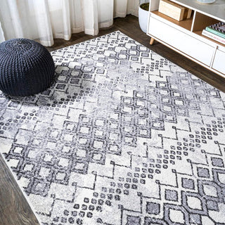 Bourke Azmar Moroccan Geometric Distressed Area Rug