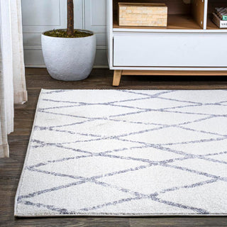 Altata Illi Moroccan Diamond Trellis Area Rug