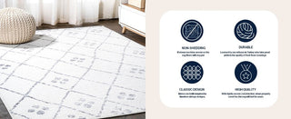 Ambrolauri Izil Moroccan Geometric Diamond Area Rug