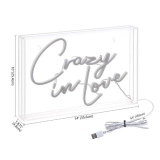 Sign  Crazy In Love Contemporary Glam Acrylic Box USB Operated LED Neon Light