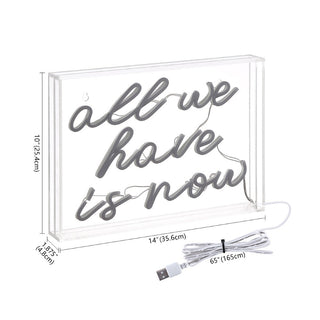 Neon All We Have Is Now Contemporary Glam Acrylic Box USB Operated LED Neon Light