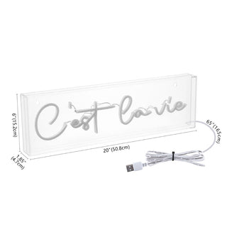 Art C'est La Vie Contemporary Glam Acrylic Box USB Operated LED Neon Light