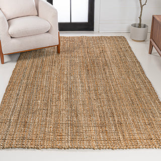 Hartford Traditional Rustic Handwoven Jute Area Rug