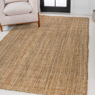 Hartford Traditional Rustic Handwoven Jute Area Rug