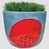 Plump Bird Planter Red & Blue by Karma Kiss