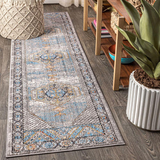 Croker Izmit Geometric Vintage Medallion Area Rug