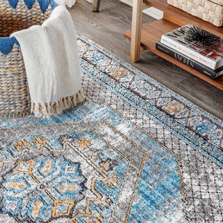 Croker Izmit Geometric Vintage Medallion Area Rug