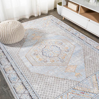 Croker Izmit Geometric Vintage Medallion Area Rug