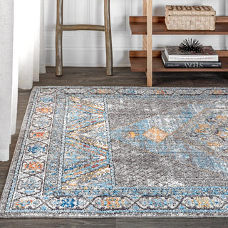 Croker Izmit Geometric Vintage Medallion Area Rug