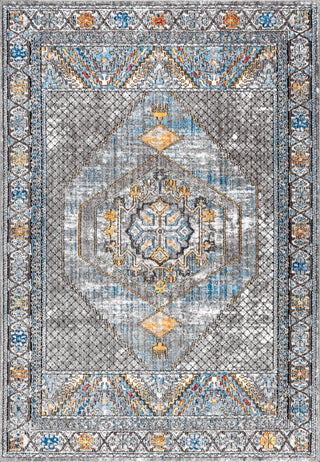 Croker Izmit Geometric Vintage Medallion Area Rug