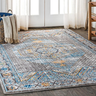 Croker Izmit Geometric Vintage Medallion Area Rug