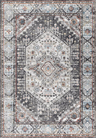 Norfolk Kesan Vintage Medallion Area Rug