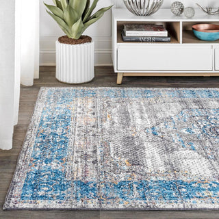 Rottneck Anatolia Vintage Medallion Area Rug