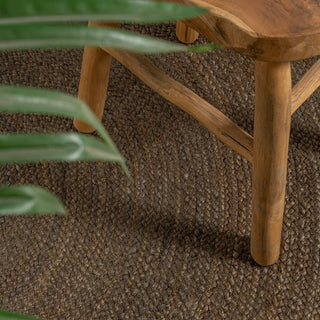 Pilu Braided Coastal Cottage Round Jute Area Rug