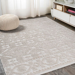 Valongo Citta High-Low Pile Mediterranean Area Rug