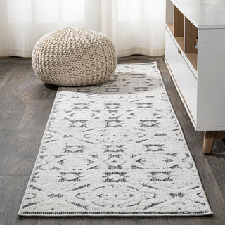 Valongo Citta High-Low Pile Mediterranean Area Rug