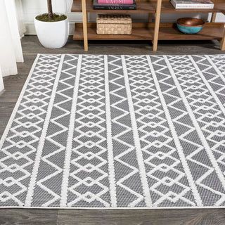 Serpa Aylan High-Low Pile Knotted Area Rug