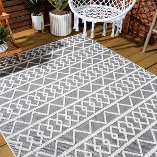 Serpa Aylan High-Low Pile Knotted Area Rug