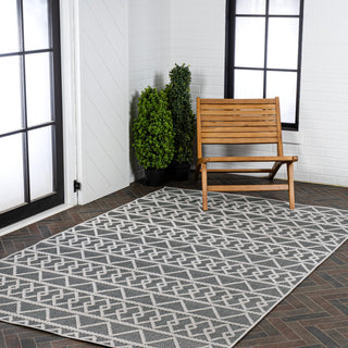 Serpa Aylan High-Low Pile Knotted Area Rug