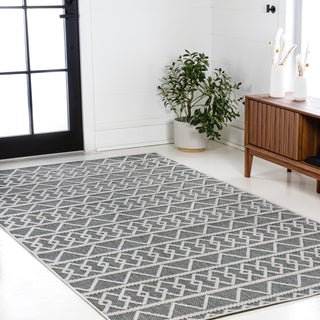 Serpa Aylan High-Low Pile Knotted Area Rug