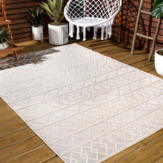 Serpa Aylan High-Low Pile Knotted Area Rug