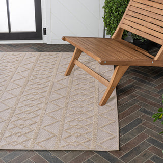 Serpa Aylan High-Low Pile Knotted Area Rug