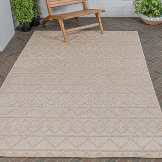 Serpa Aylan High-Low Pile Knotted Area Rug