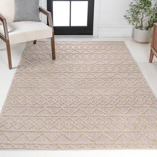 Serpa Aylan High-Low Pile Knotted Area Rug