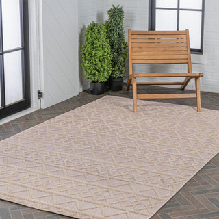 Serpa Aylan High-Low Pile Knotted Area Rug