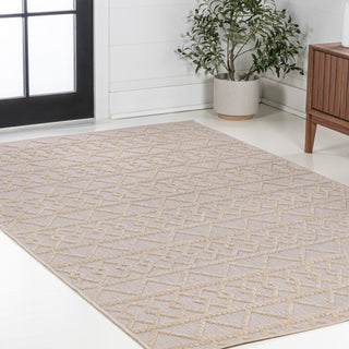 Serpa Aylan High-Low Pile Knotted Area Rug