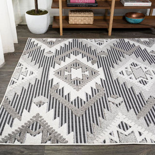 Sabugal Sumak High-Low Pile Neutral Area Rug