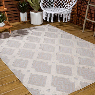 Porto Duwun High-Low Pile Ogee Area Rug