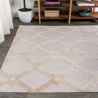 Porto Duwun High-Low Pile Ogee Area Rug