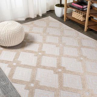 Porto Duwun High-Low Pile Ogee Area Rug