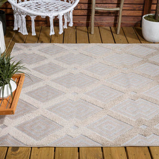 Porto Duwun High-Low Pile Ogee Area Rug