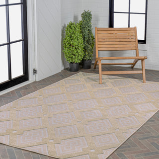 Porto Duwun High-Low Pile Ogee Area Rug