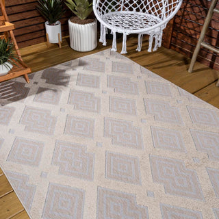 Porto Duwun High-Low Pile Ogee Area Rug