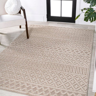 chevron High-Low Modern Trellis Geometric Indoor/Outdoor Area Rug