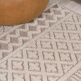 chevron High-Low Modern Trellis Geometric Indoor/Outdoor Area Rug